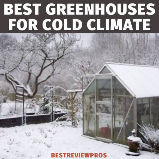 Best Greenhouses for Cold Climates 4 Worth Buying!
